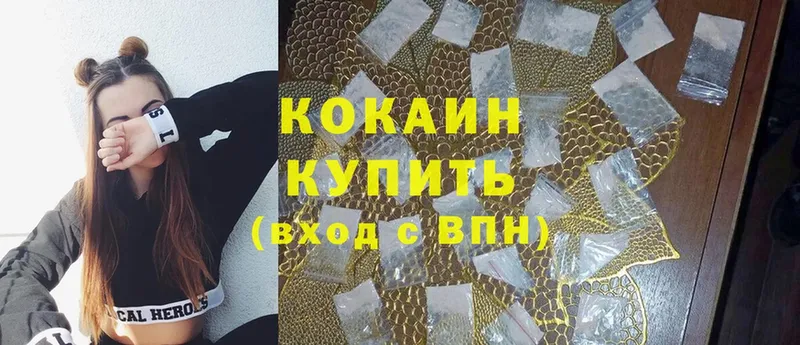 блэк спрут как зайти  Кадников  КОКАИН Fish Scale 